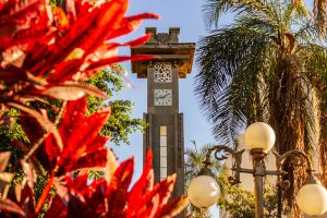 Mudança da sede para Goiânia/GO